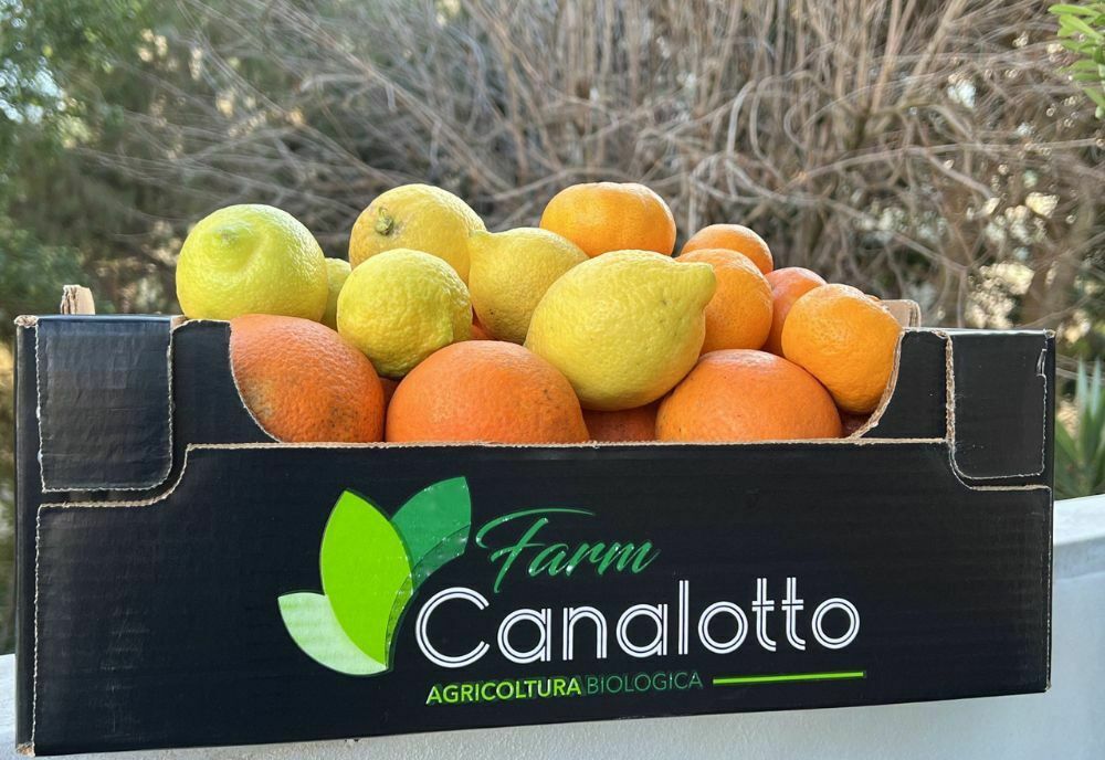 cassetta-agrumi-siciliani-bio-canalotto